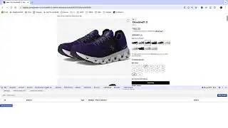 Data Scraping Using Web Scraper from Google (Zappos Video 1)