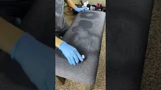 #upholsterycleaning Seattle