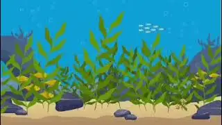 Marine health group .Йодиум келп зобко соонун жардам берет. +996776033834.Канымжан