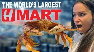 Everything You NEED to Know About The WORLD’S LARGEST HMART 🛒🍜