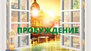 Голая МАТРИЦА. ПРОБУЖДЕНИЕ
