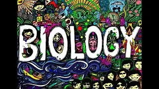 AS2 Biology Revision Video
