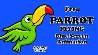 Flying Parrot Blue Screen Animation 
