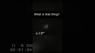 Strange creature sightings on camera #shorts #scary #ghost #creepy