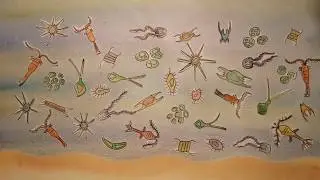 The Journey of Plastic - an animation by EEI Phd Researcher Freija Mendrik