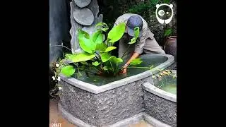 Building  a heart shape koi fish pond #youtube