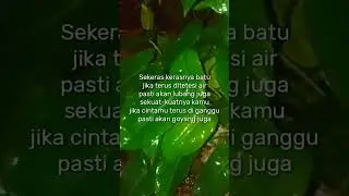 antara batu, air, pengganggu dan cinta