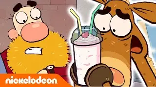 Po prostu Kucek! | 10-minutowy postój | Nickelodeon Polska