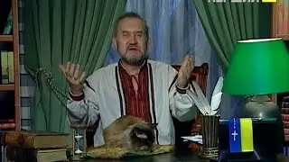 Казки Лірника Сашка. Дарунки з трьох зернин