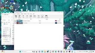 Game directories on Dolphin Emulator tutorial