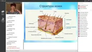 Особенности ухода за женской и мужской кожей! Марина Деркач