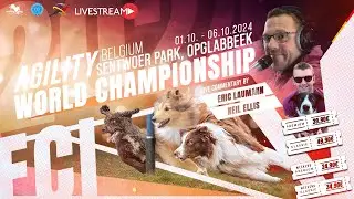 Agility World Championship is coming soon! / working-dog