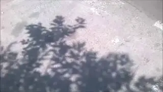 Shadows