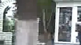 Павлоград-красивый город
