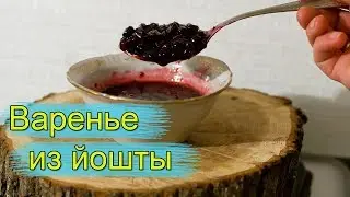 Варенье из йошты - просто и вкусно