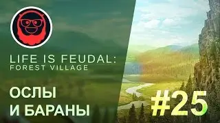 Life is Feudal: Forest Village — #25 Ослы и бараны