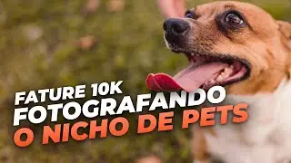 Como fazer ensaios fotográficos de pets