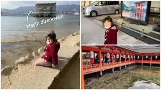 Akhirnya bisa kesini lagi!! || Miyajima Hiroshima Jepang