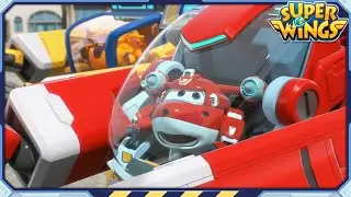 [SUPERWINGS Ranking Show] Stop it! | Top5 EP51 | Superwings | Super Wings