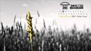 Infected Mushroom - Fields of Grey (feat. Sasha Grey) [HQ Audio]