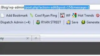 Advanced Wordpress