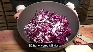 Kunsten at fermentere rødkål