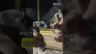 деревообработкa