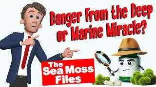 Sea Moss: The Ocean's Hidden Health Treasure?