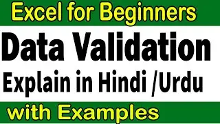 Data Validation in Excel in Hindi and Urdu