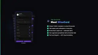 WiseCord Demo. Monitor Discord Members in Real Time Without Admin Access