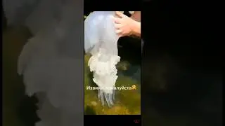 извини пожалуйста 