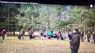Viaje a Letonia de prueba de trabajo de Laikas con Alexander Moroz .