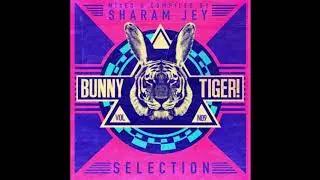 Out_Ctrl, Audio Go - Jump To It (Original Mix) [BUNNY TIGER}