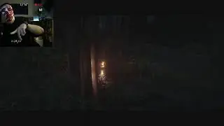 Improv music for Red Dead Redemption 2. Live stream