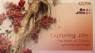 Exploring Jilin: The heart of China's ginseng heritage