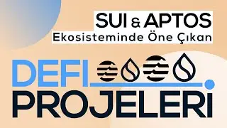 Sui ve Aptos Ekosisteminde Hangi DeFi Projeleri Öne Çıkıyor?