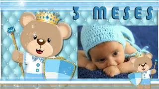 Retrospectiva Animada - Ursinho Princípe