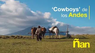 ¿Cómo es la vida del chagra ecuatoriano 🐴🇪🇨 en los páramos de Cotopaxi? 🗻
