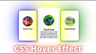 Responsive CSS Cards Hover Effect With Reflection