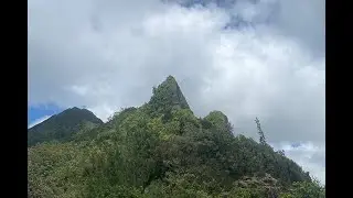 The Environment Forum with Hiʻilei Hobart | What Returns, What Remains