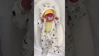 407 зайки планеты