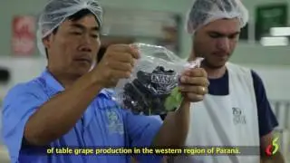 COANA - DOCUMENTÁRIO (LEGENDA INGLÊS)