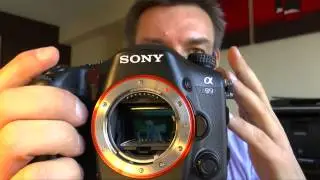 Systemvergleich Autofokus: Sony SLT und DSLR - Ratgeber
