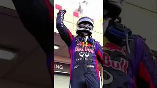 The Formidable Sebastian Vettel 🇩🇪 #sebastianvettel #vettel5#RB9#redbullracing