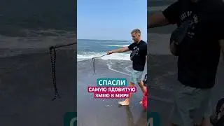 Чуть не наступила на самую смертоносную змею😱 