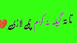 pashto green screen shayari ||تا تہ گیلہ نہ کڑم یارہ❣️