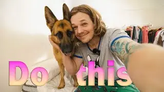 Morning routine with a German Shepherd | Dog training | Morning routine