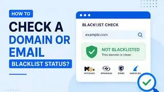 How to Check a Domain or Email Blacklist Status?