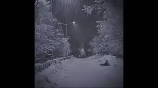 Introduction to the Snow, but you could've helped them.