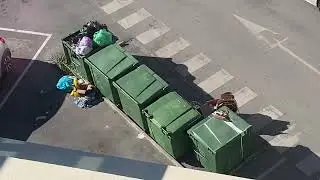 Esse é o melhor carvão do Algarve #brasil #frankcyerris #portugal #viral #viralvideo